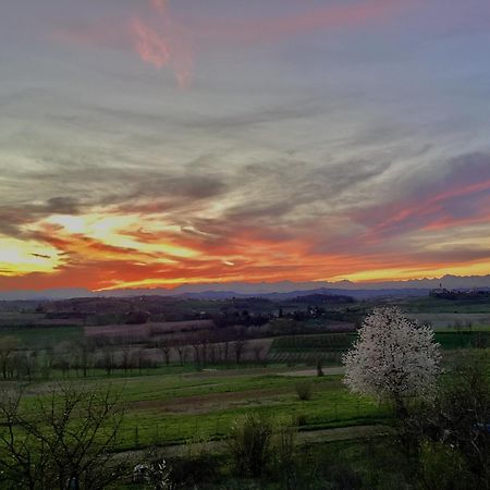 Casapaletti Country House Alfiano Natta Bagian luar foto