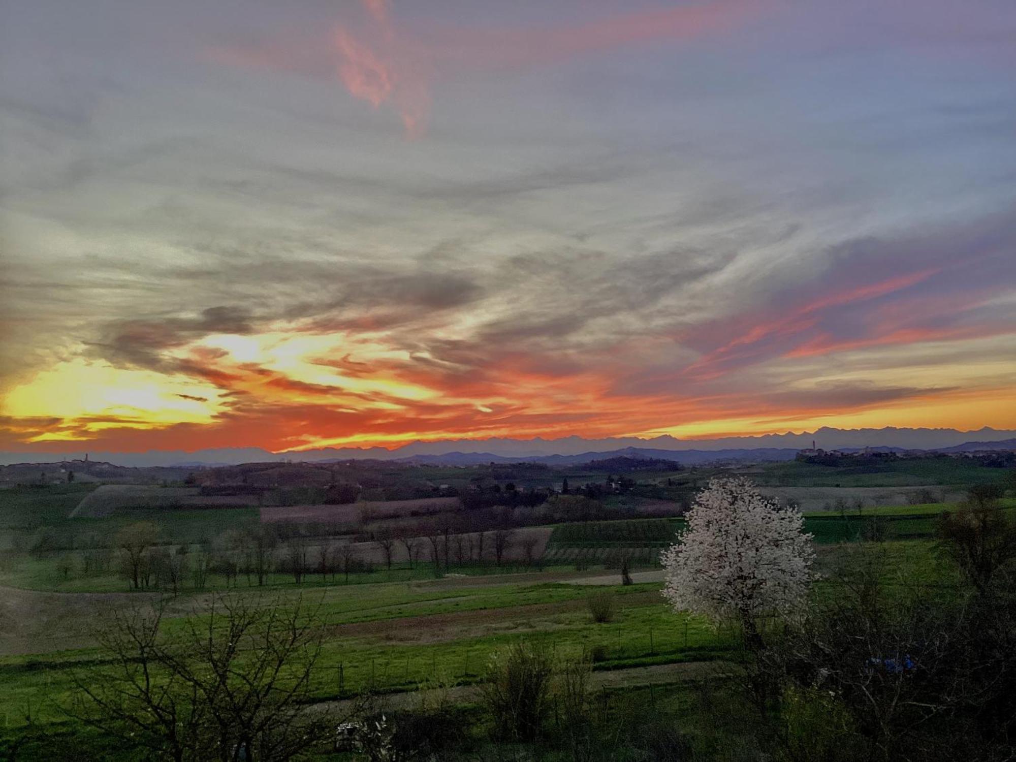Casapaletti Country House Alfiano Natta Bagian luar foto